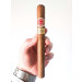 charutos romeo y julieta - charutos ubatuba - www.charutosubatuba.com.br